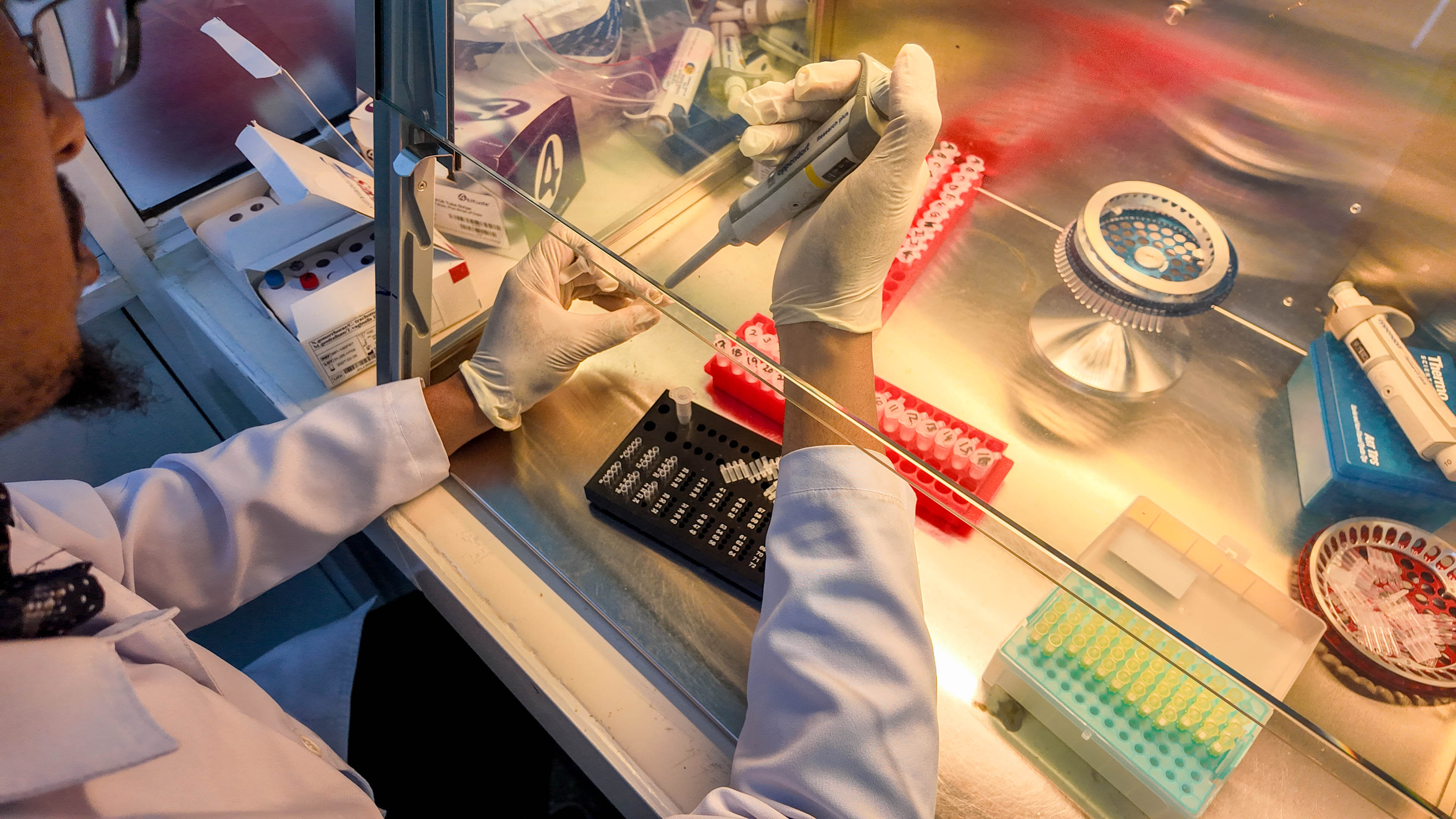 Mater Hospital Laboratory Services